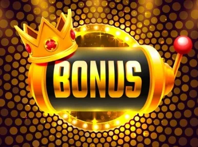 Bonus