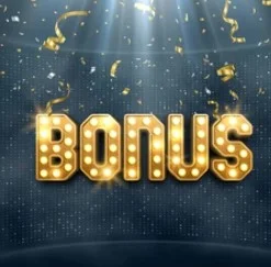 Viacstupňový bonus.