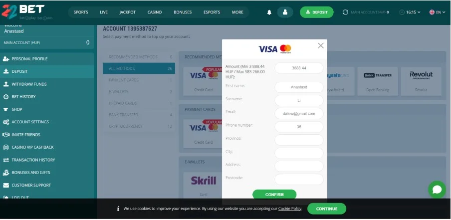 Zadajte sumu platby a požadované údaje.